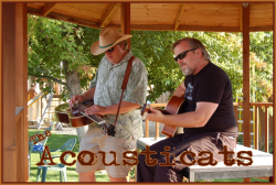 The Acousticats